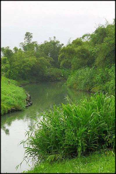 冬山河生態綠洲_41.JPG