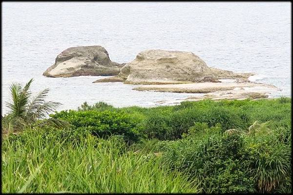 花東海岸風景-2_065.jpg