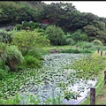 遠望坑親水公園-1_019.JPG