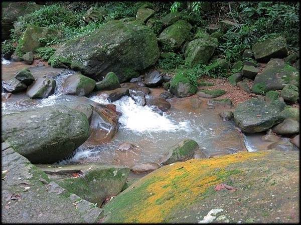 大溝溪生態步道_057.JPG