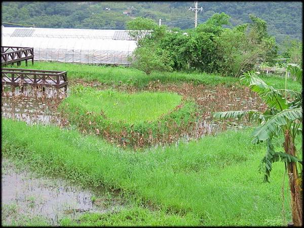 碧山野味_038.jpg