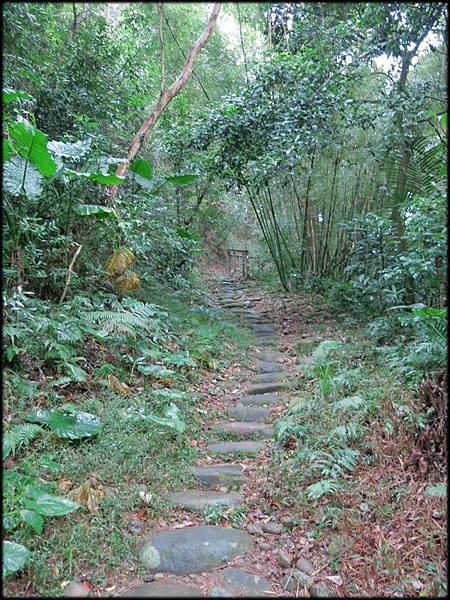 石光古道_039.jpg 石光古道_039.jpg