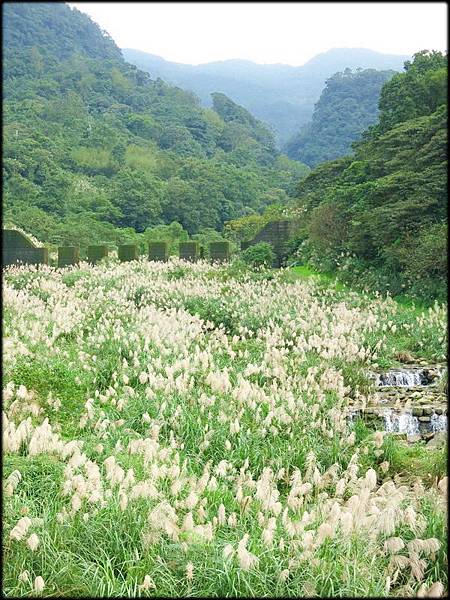 姜子寮絕壁探路_025.jpg