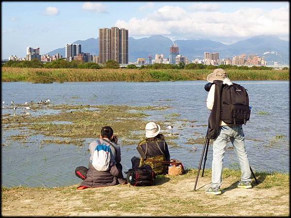 雁鴨公園_28.jpg