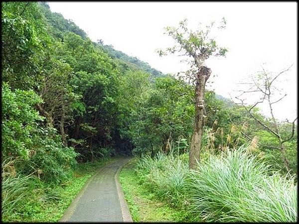 翠山步道_021.jpg