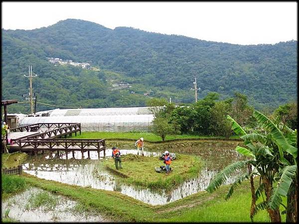 翠山步道_060.jpg