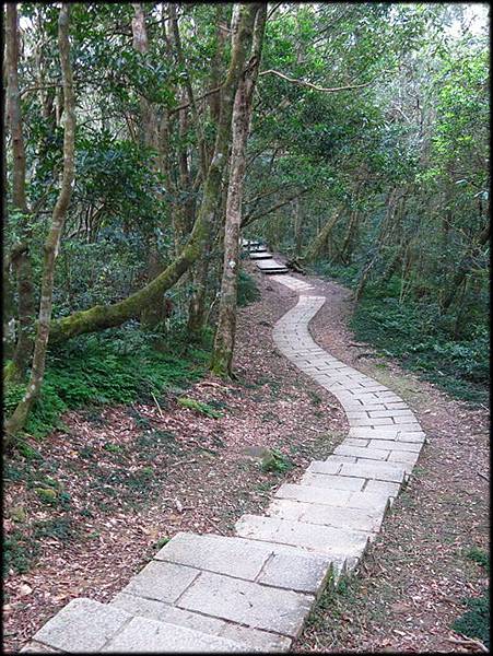 東眼山_88.jpg 東眼山_88.jpg