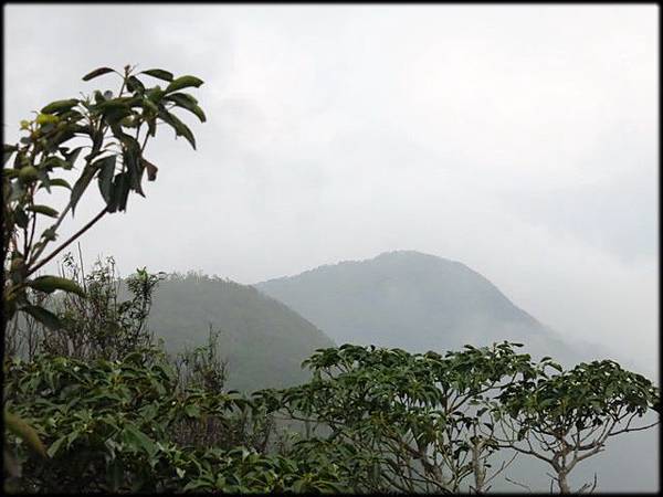東眼山_111.jpg 東眼山_111.jpg