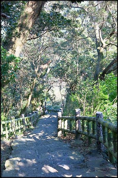 十八拐圳步道_098.jpg