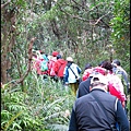 大牛稠登山步道_011.JPG