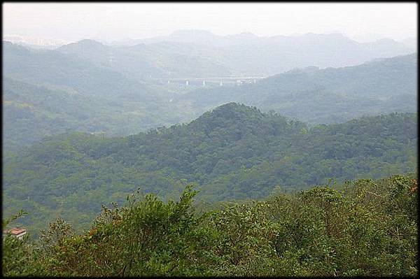 大牛稠登山步道_019.jpg