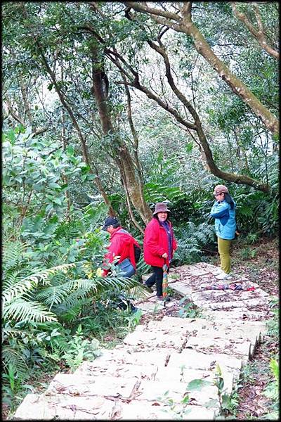 大牛稠登山步道_043.jpg