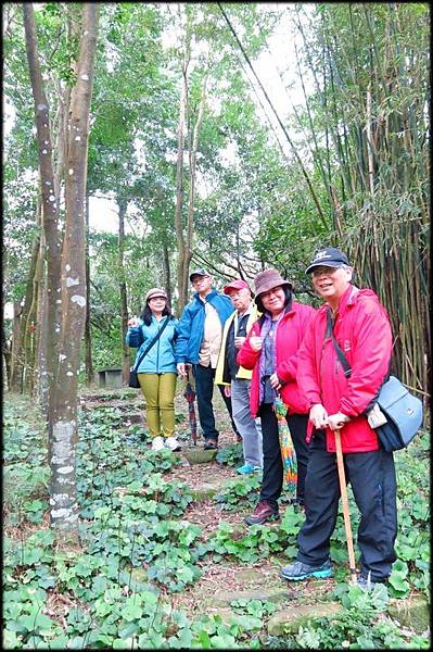 大牛稠登山步道_050.jpg