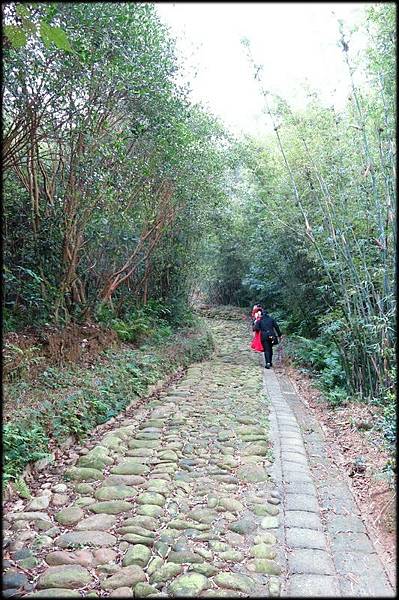 保甲古道_019.jpg 保甲古道_019.jpg