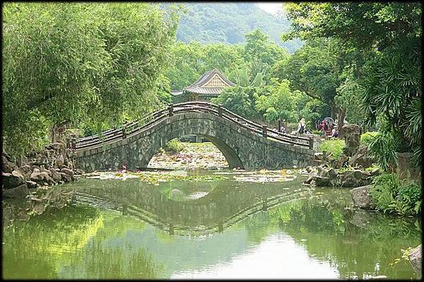 雙溪公園大王蓮_008.jpg