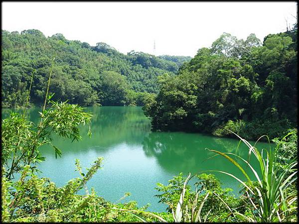 寶山水庫環湖步道_052.JPG