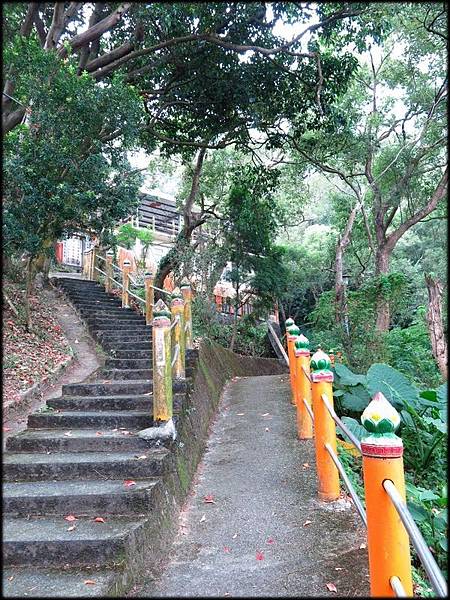 竹東森林公園步道_025.jpg