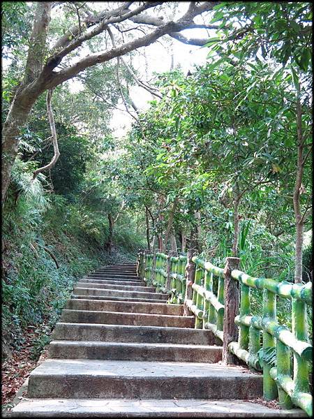 竹東森林公園步道_058.jpg