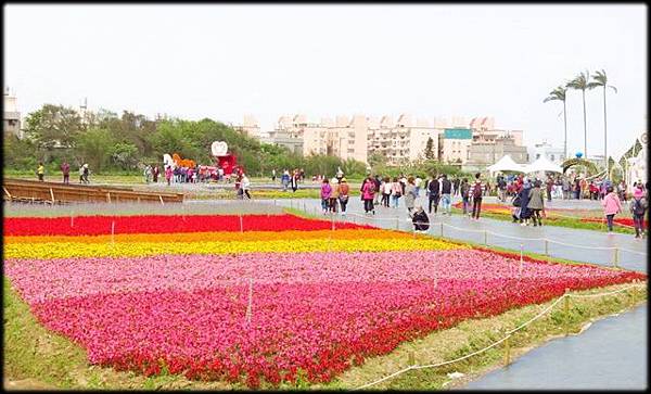 浪漫芋花園_009.jpg