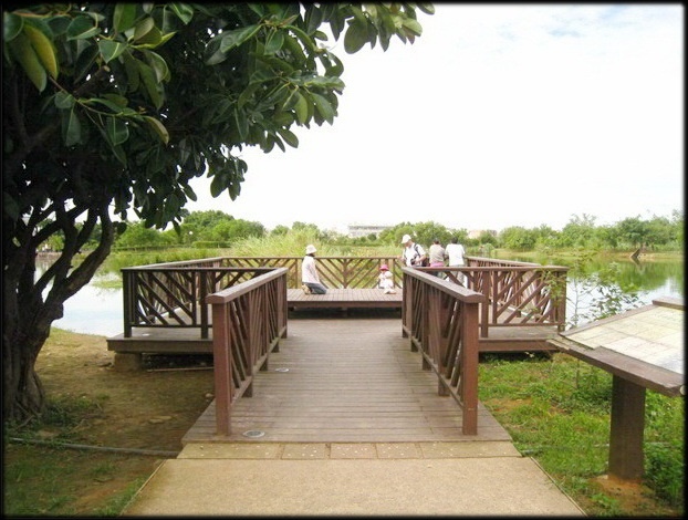 春遊八德埤塘生態公園