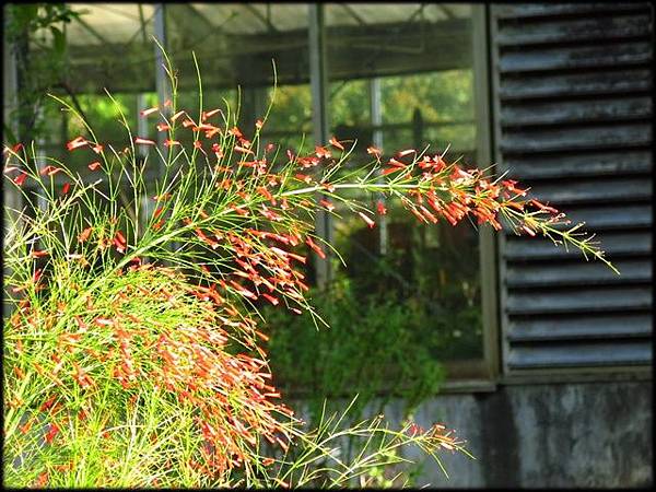 107植物園_16.JPG