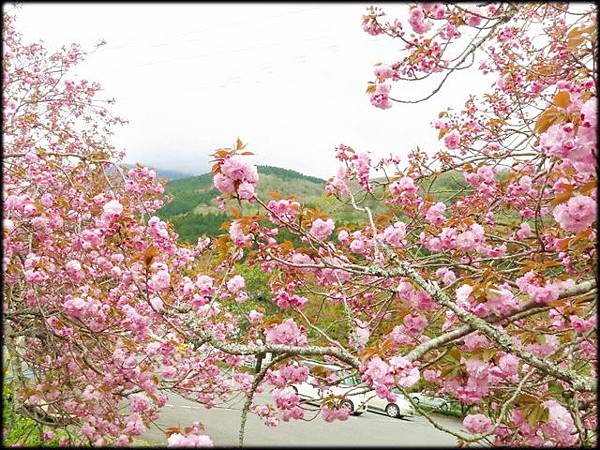豪斯登堡五日遊 四 之1 湯布院 金麟湖 半金俱樂部 隨意窩xuite日誌 豪斯登堡五日遊 四 之1 湯布院 金麟湖 半金俱樂部 隨意窩xuite日誌