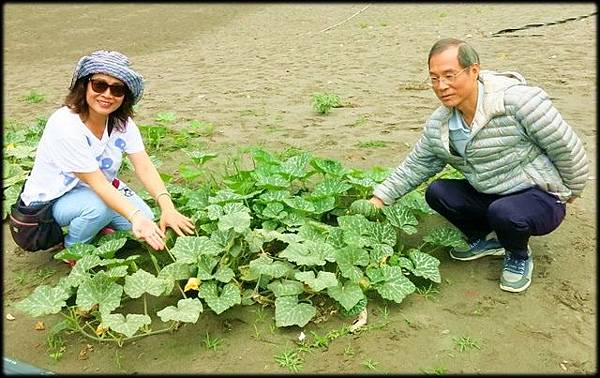 壯圍遊客服務中心園區_049.jpg