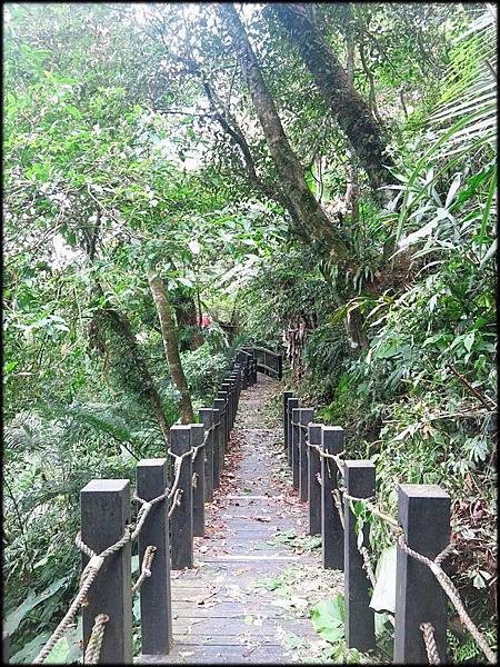 五指山橫向步道_039.jpg