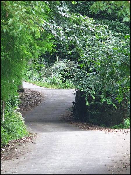 五指山橫向步道_109.JPG