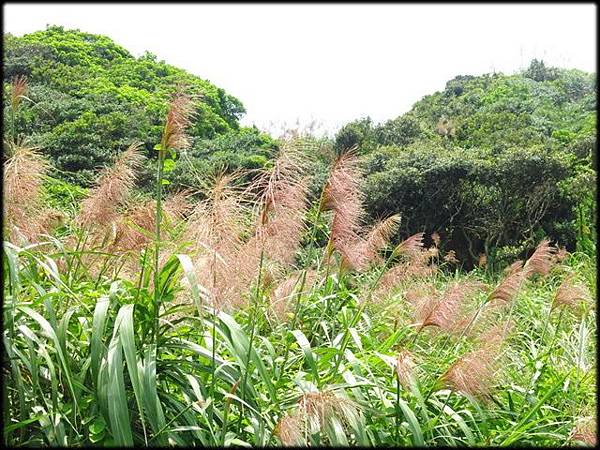 和平島公園_050.jpg