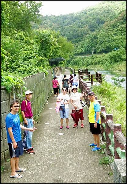 坪林親水吊橋_011.jpg