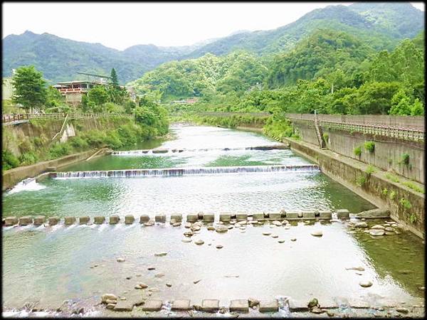 坪林親水吊橋_032.jpg