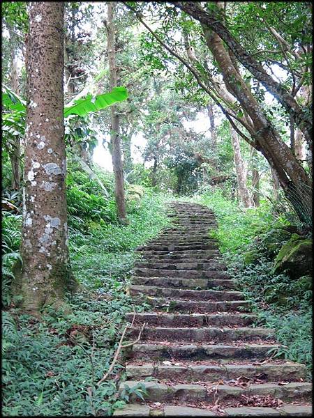 大崎棟步道_064.jpg