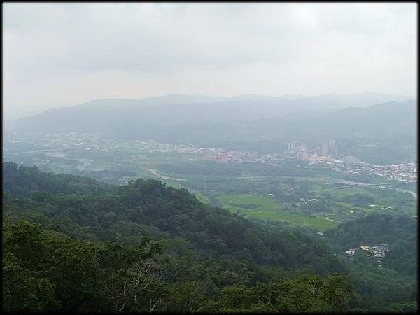 大崎棟步道-1_005.jpg