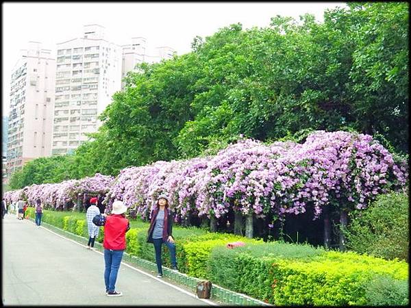 楓樹河濱公園_074.jpg