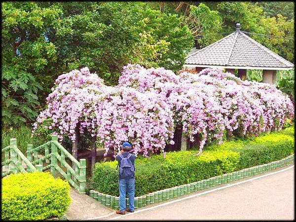 楓樹河濱公園_072.jpg