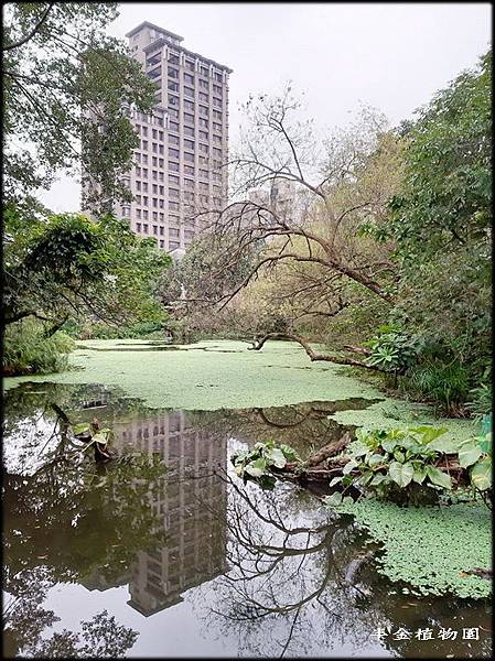 2019植物園_100868.jpg