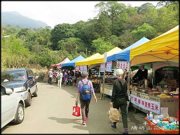 2019陽明山櫻花_026.jpg