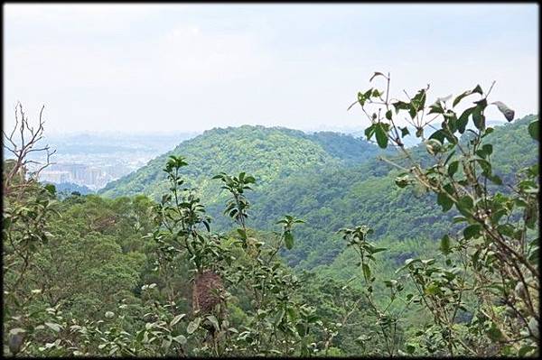 得安宮後山步道_034.jpg