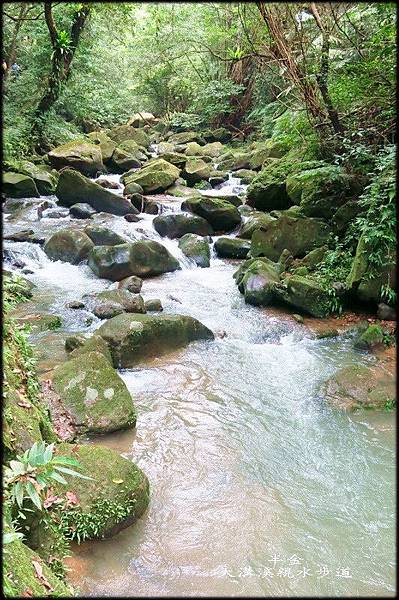 大溝溪步道_065.jpg