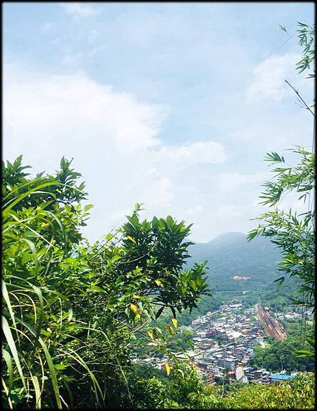 逸仙山步道-5_010.jpg