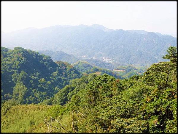 仙山步道_005.jpg