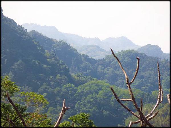 仙山步道_002.jpg