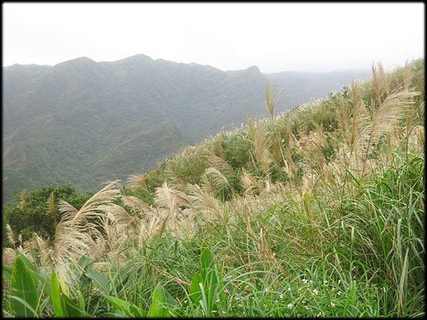 南子吝山步道_054.jpg