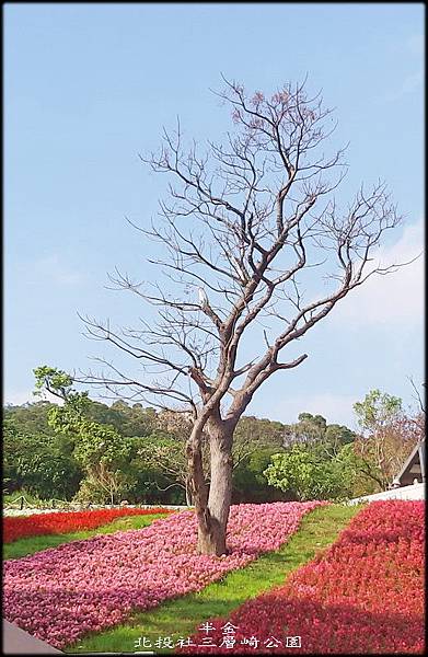 北投社三層崎公園-2_004.jpg