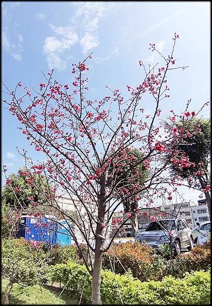 鶯歌永吉公園_006.jpg