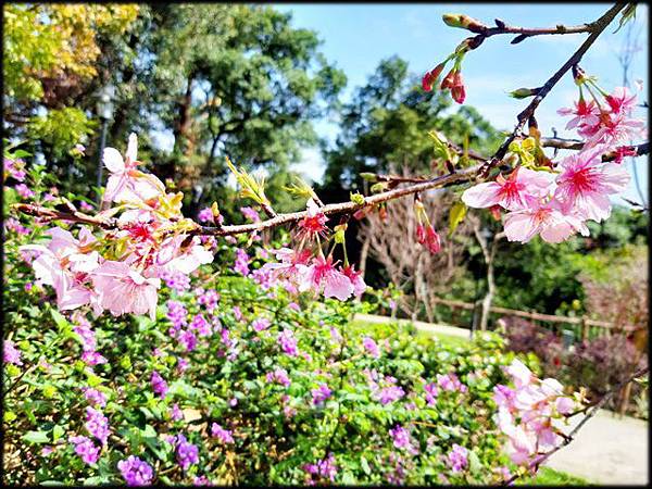 鶯歌永吉公園_082.jpg