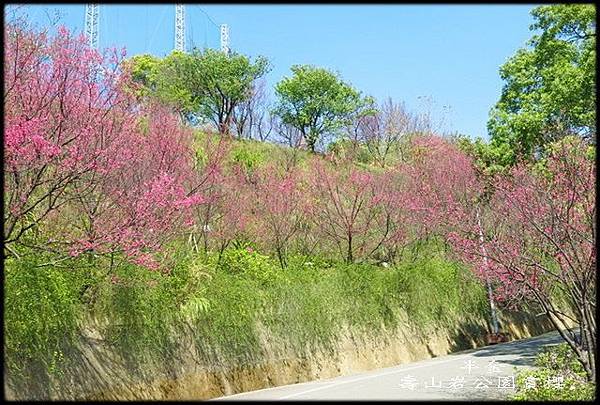 壽山岩公園賞櫻_015.jpg