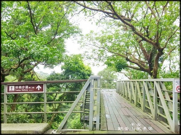 觀音山林梢步道-1_007.2.jpg