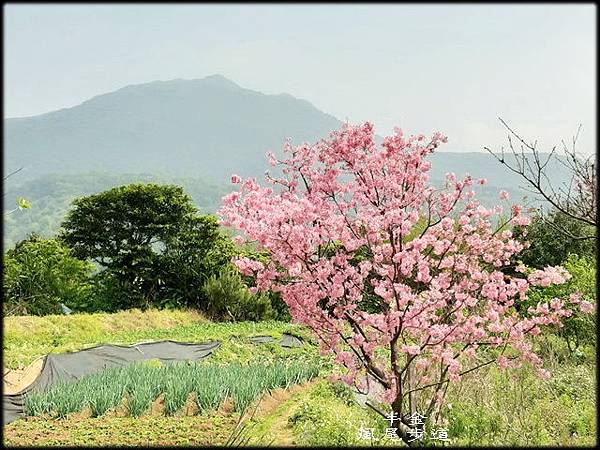 風尾步道-2_002.jpg